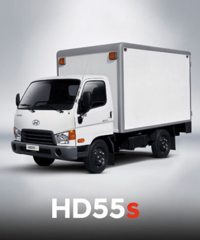 Camion Hyundai HD55 3.5 Toneladas