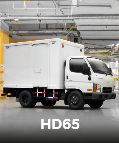 Camión Hyundai HD65 4.5 Toneladas