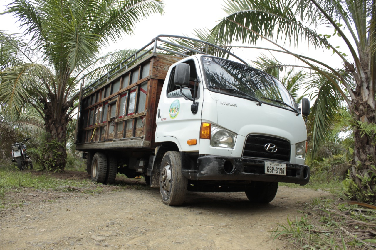 Camiones Hyundai Ecuador