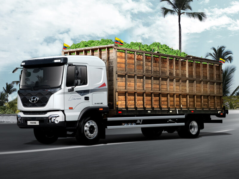 Camión Pavise de Hyundai: potencia y eficiencia en cargas de 10 toneladas